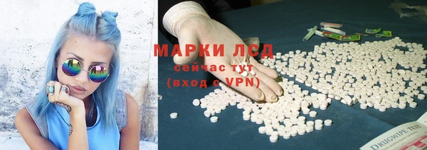 мяу мяу мука Арсеньев
